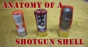 Anatomy_of_a_Shotgun_Shell_96753970_thumbnail
